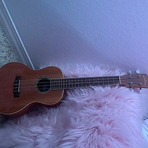 Cordoba ukelele, average sized ukelele, nylon strings, wood